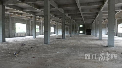 四川新奇味食品農(nóng)產(chǎn)品加工項目 強產(chǎn)業(yè)促振興，預(yù)計2026年春節(jié)前投產(chǎn)