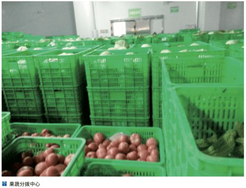 農產品冷鏈‘最先一公里’ 基礎設施亟待發展，破解初級農產品保鮮難題