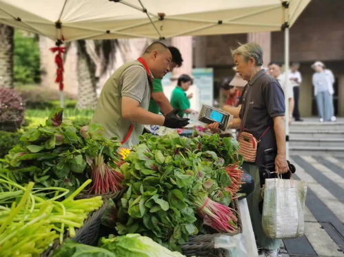 高溫送清涼 菜籃守安康——便民市集讓平價(jià)菜與優(yōu)質(zhì)農(nóng)產(chǎn)品走進(jìn)社區(qū)