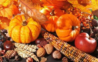 豐收節(jié)里尋“金”記 初級農(nóng)產(chǎn)品的產(chǎn)業(yè)化新機遇