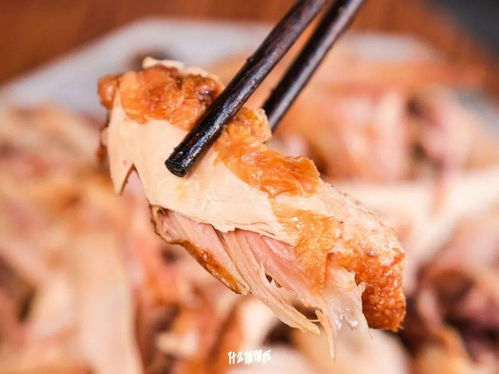 美食圈的隱藏BOSS 農(nóng)業(yè)大學(xué)實驗室與初級農(nóng)產(chǎn)品的奇妙碰撞